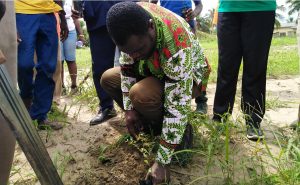 Tree Planting